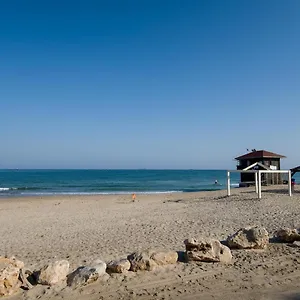 Luminous Sea , Haifa Israel